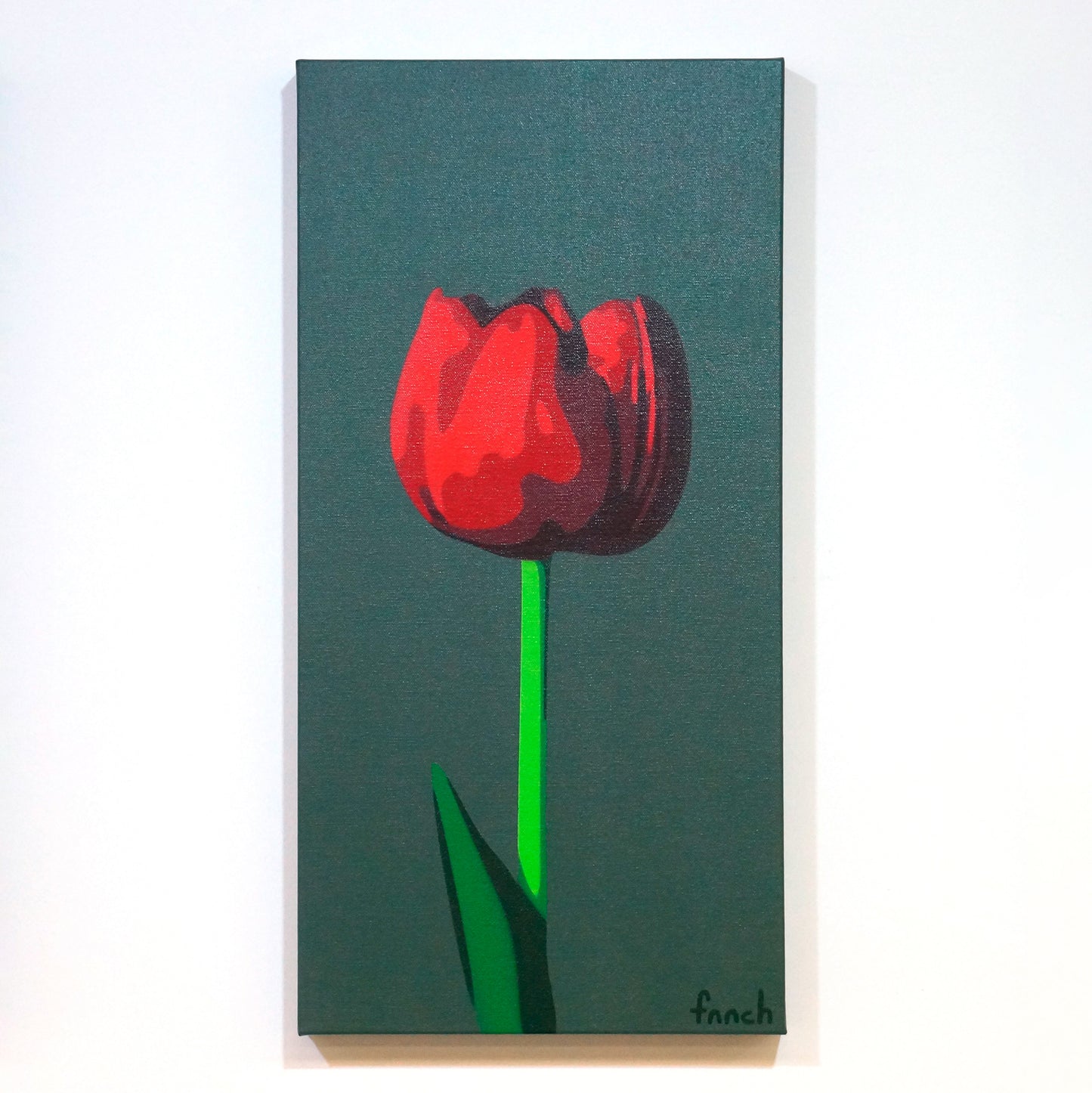 Dark Red Tulip