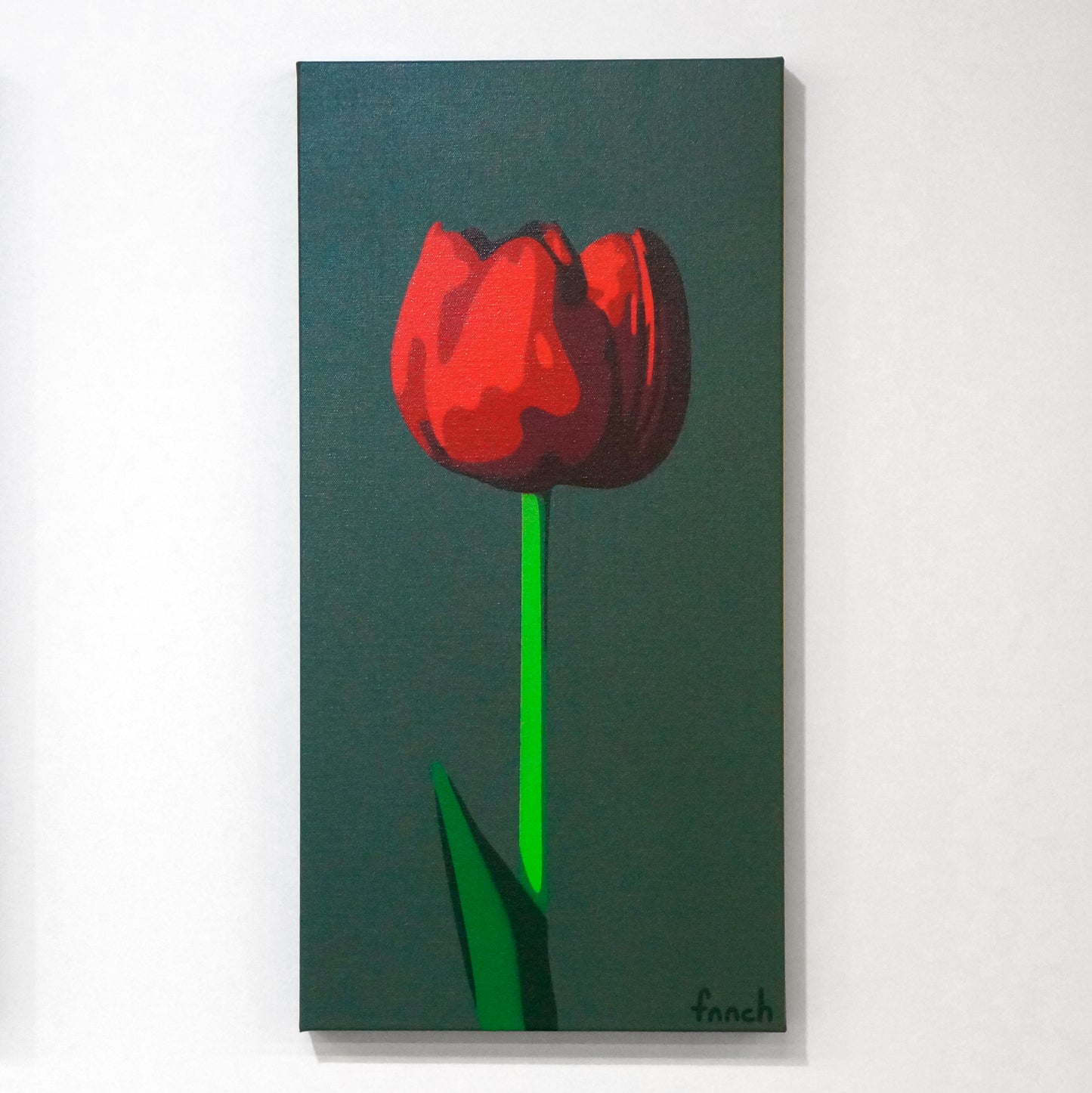 Dark Red Tulip