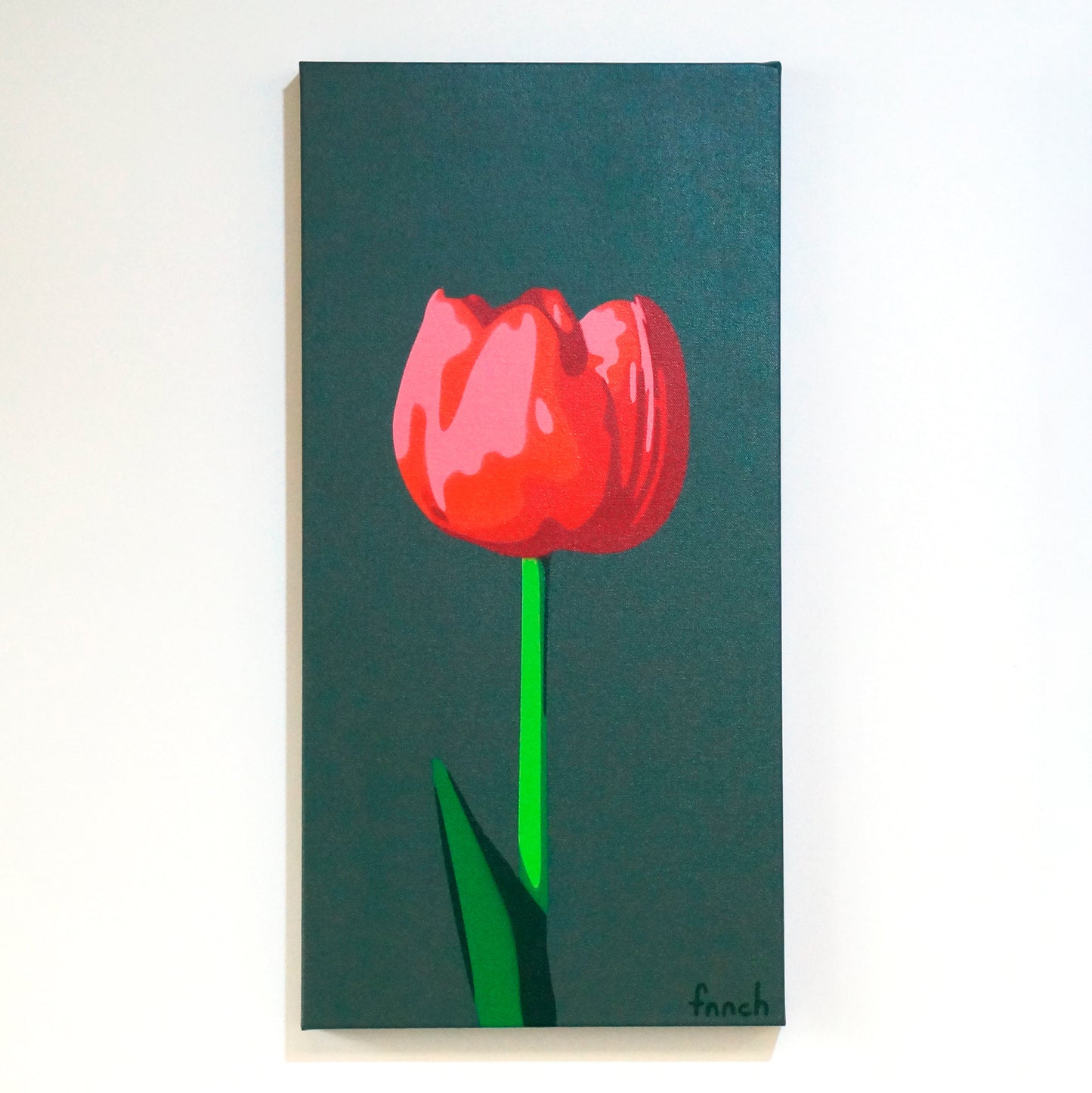 Light Red Tulip