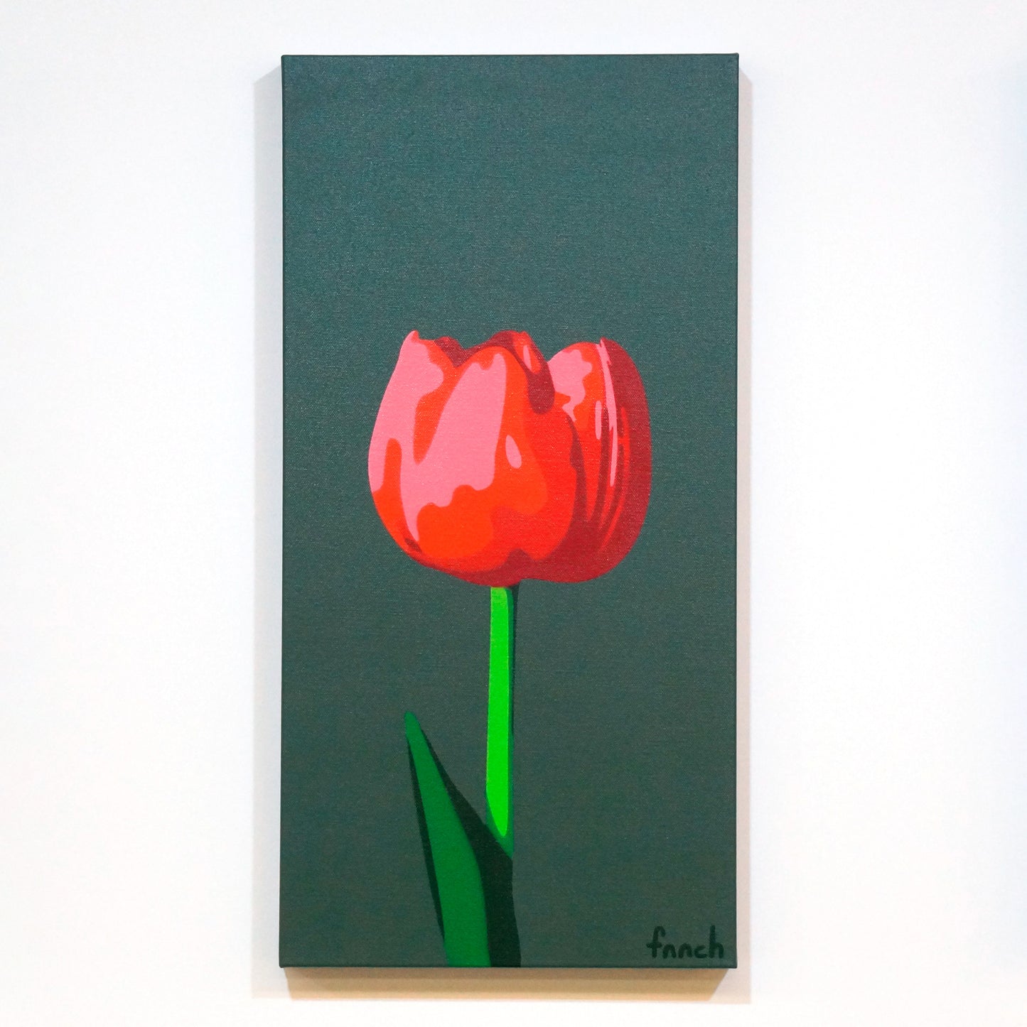 Light Red Tulip