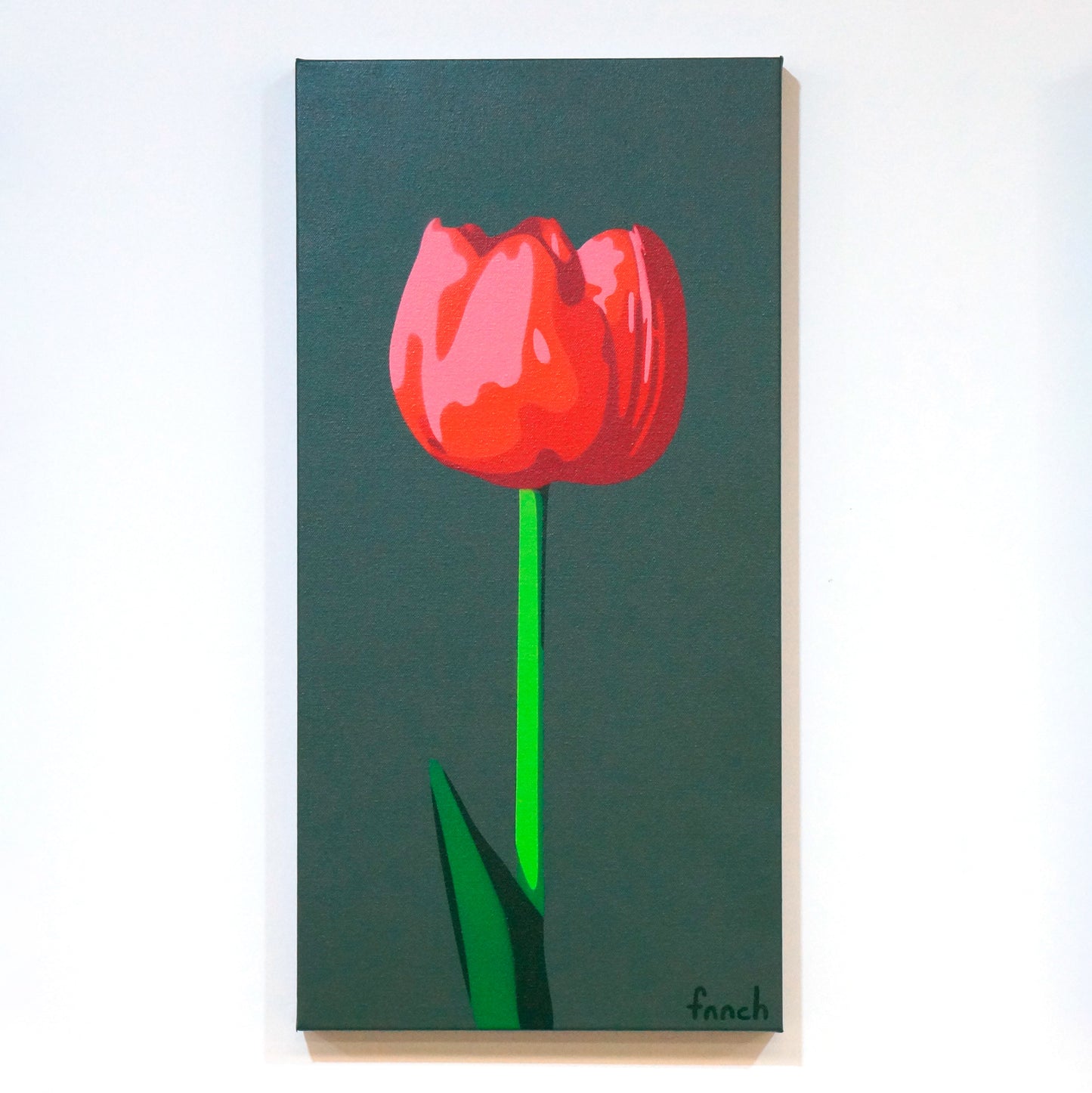 Light Red Tulip