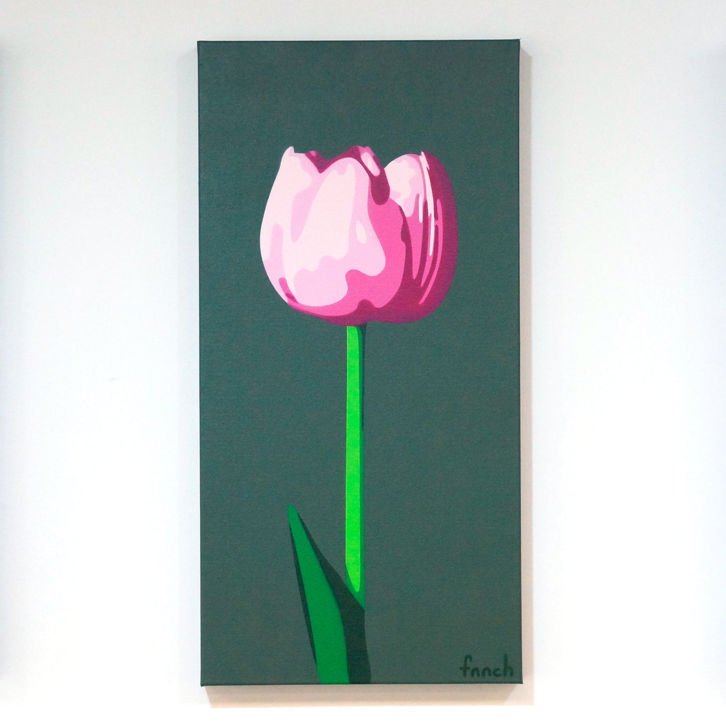 Pink Tulip