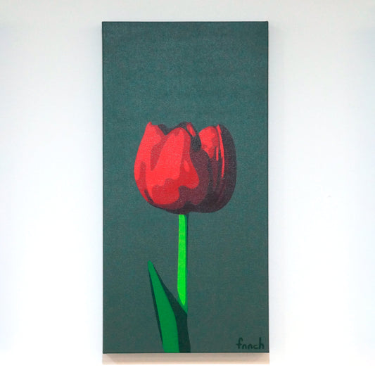 Dark Red Tulip